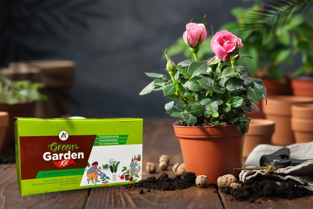The Art of Plant Care: Nurturing Green Companions
